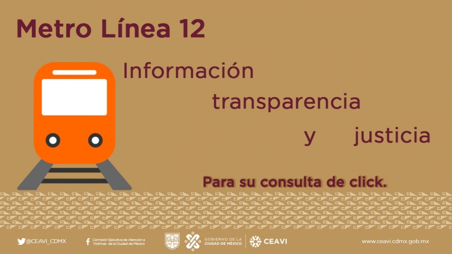 Transparencia Línea 12 del Metro